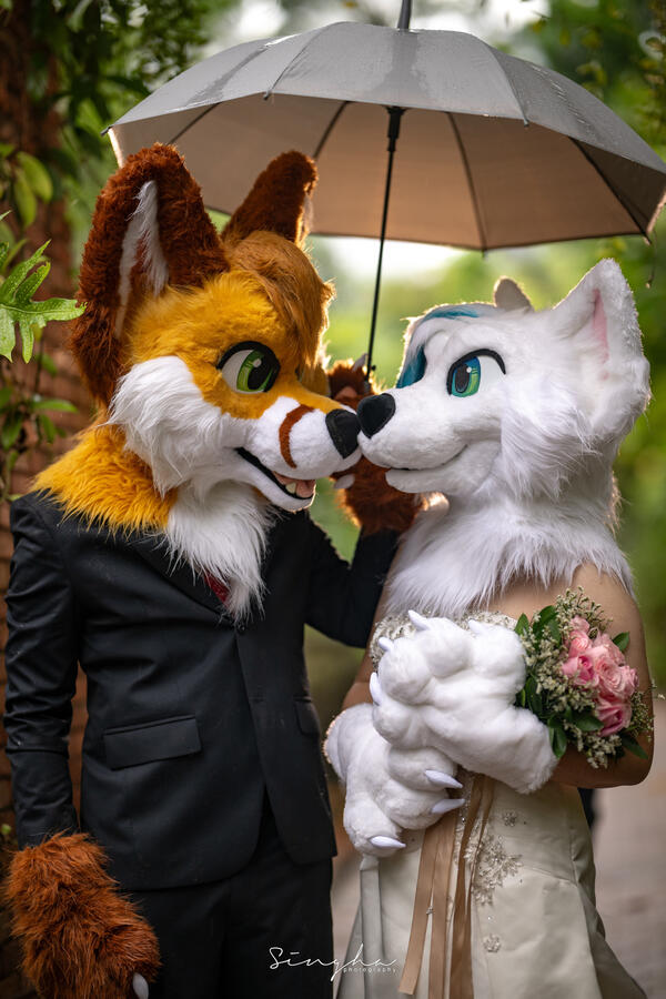 Strafy and Kiba Wedding by Singha Strafy and Kiba both dressed in fursuit and wedding attire