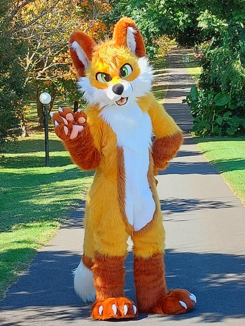 Strafy Fox Fursuiter Strafy in fursuit waving at the viewer while standing